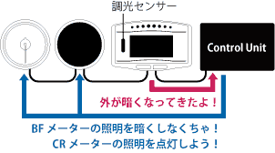 both communication